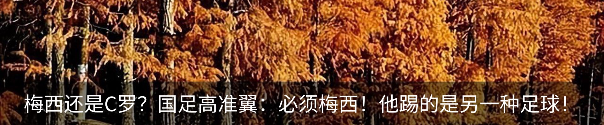 行业资讯